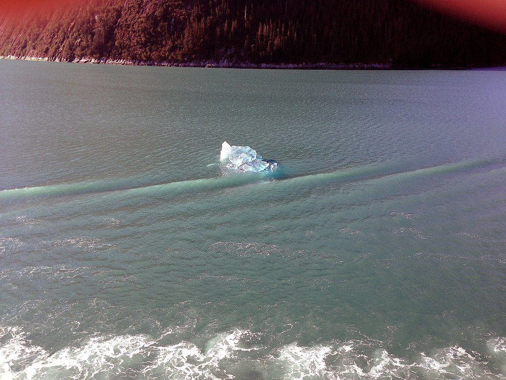 IMG_2779alaskacruise