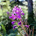 IMG_2564