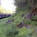 IMG_2593