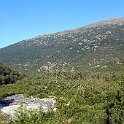 IMG_2601