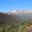 IMG_2641