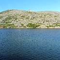 IMG_2667