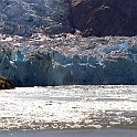 IMG_2847alaskacruise