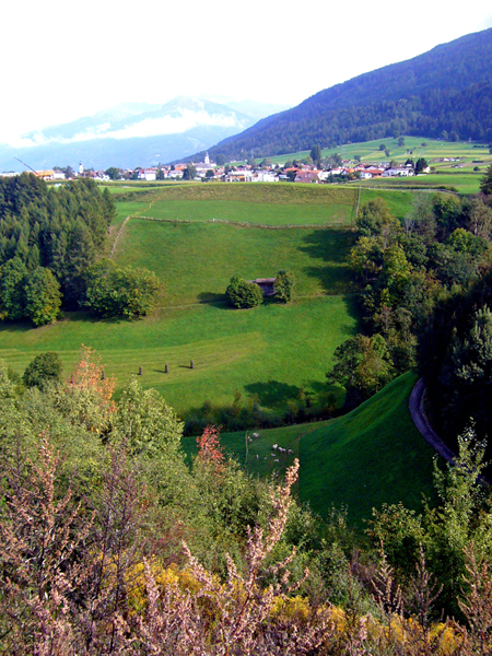 P1000587