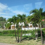 IMG_2059