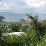 IMG_2085