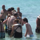 IMG_2113