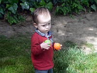 DSC 0024