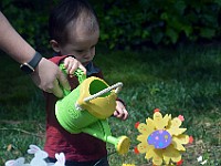 DSC 0044