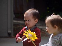 DSC 0063