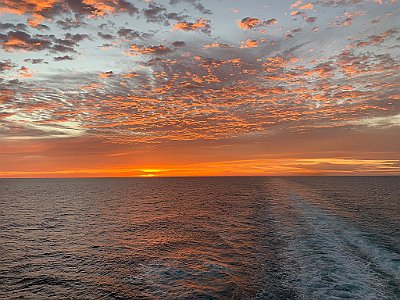 IMG_4693