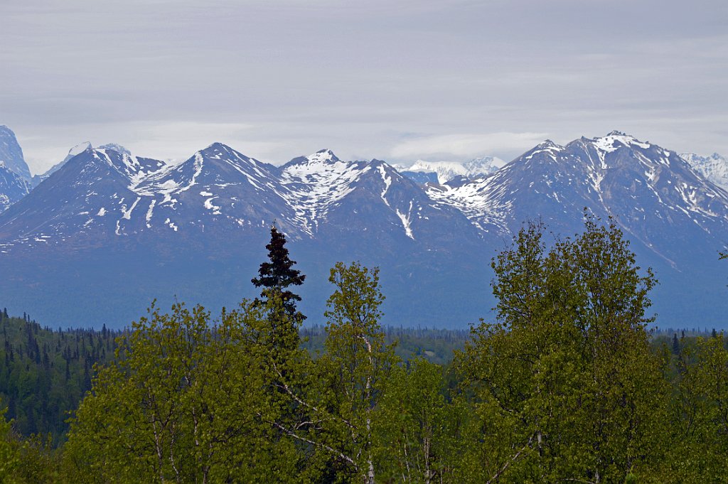 DSC_0011