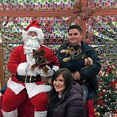 chrachelsanta
