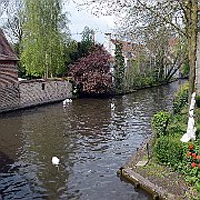 DSC_0061
