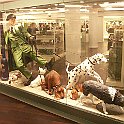 Harrods-display-dogs