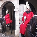 Horse-Guard