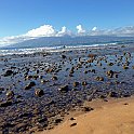 IMG_1125