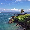 IMG_3367