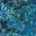 molokini2