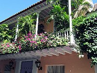 IMG 0620