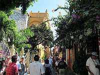 IMG 0625