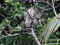 IMG 0671