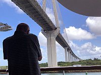 IMG 3540.JPEG