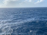 IMG 4588