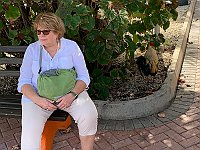 IMG 4592