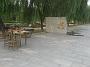 IMG_7623
